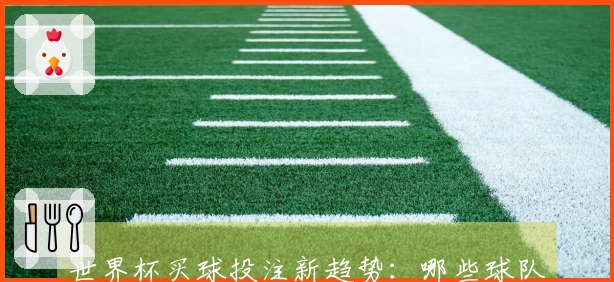 世界杯买球投注新趋势：哪些球队最值得关注和投资