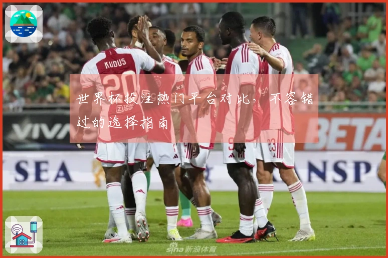 世界杯投注热门平台对比，不容错过的选择指南