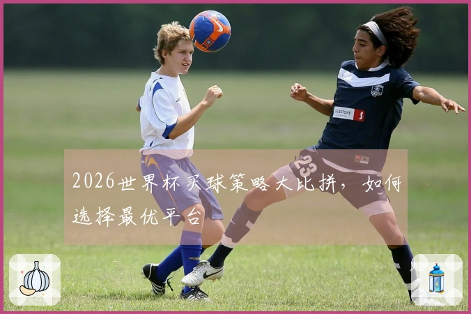 2026世界杯买球策略大比拼，如何选择最优平台