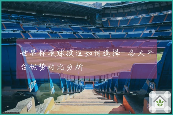 世界杯滚球投注如何选择- 各大平台优势对比分析